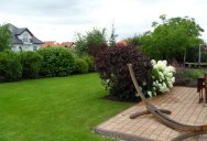 Widok na minimalistyczny ogród naszej realizacji, szpaler pod płotem wypełniony krzewami iglastymi i liściastymi