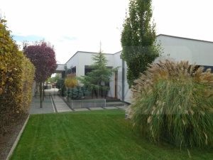 017dac88-4186-45c1-be19-ad8fcb6ee06b-oG