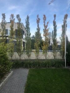 092defac-71b3-40a1-8a33-7a9c09019e5b-ozBwCh