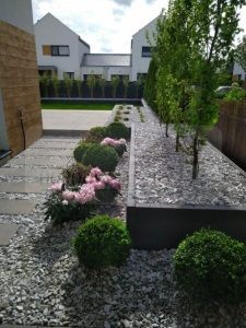 09abe520-54f9-4b37-b696-d40f68a03262-oPal