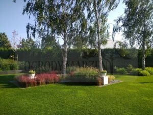 0bce4634-b1ac-4a72-b5e4-85ab6b2924ed-oS