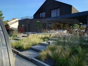 1ca03a8a-bea9-4b63-8348-24f2b3c0bb55-oSzB