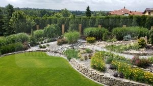 20170709_110932-Medium