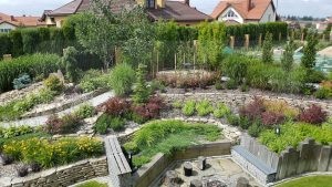 20170709_110938-Medium