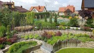 20170709_110944-Medium