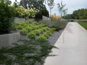 20180824_102952-Medium