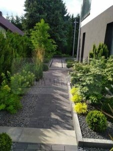 2024e99f-03af-4d13-824c-e4d64d6ed684-ozBwCh