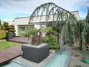 32de520b-d05a-4631-9f32-0bf695b2de68-oG