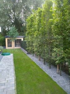 431aea69-ba6a-47c2-a138-553df64d8912-oSol