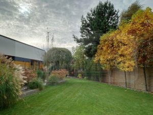 494d7c50-18d5-43c9-b761-c78dbea9e9b7-oG