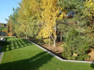 735cba1c-5a1b-4093-8a12-efc6eaa44069-oSzB