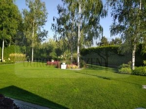 740436c0-a0d0-471e-b1af-e379430d73a0-oS