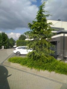 760a4314-2c4d-4efc-b2f7-f28b0b41449f-ozBwCh