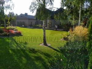 79693071-a3bc-4362-8e8b-75b8051f43db-oS