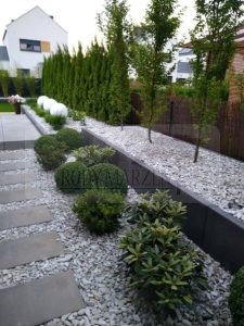 7cae7a80-2170-445f-8351-7d06c1a1c2ff-oPal