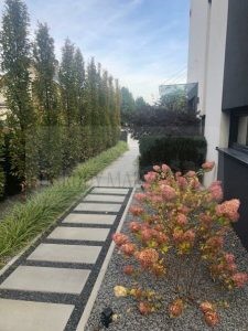 7e230907-aa43-40e2-9e5c-5493f84fbc55-ozBwCh