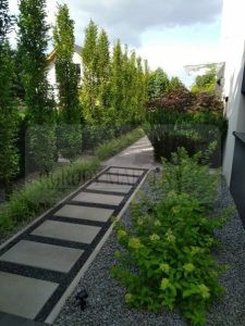 7fbfc07c-16dc-4323-ab72-b66ab19a0902-ozBwCh