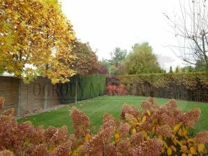 82f83e62-f598-441d-9ad2-6bbee9e0f20b-oG