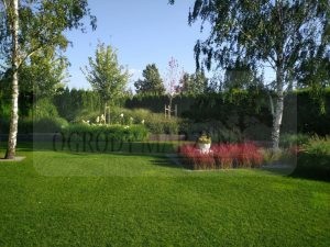 8585dcd2-8c8b-4a03-a32d-64c55338bd07-oS