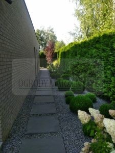 867ef934-2adf-46eb-907c-9a5011ec3ef7-oS