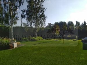 8a47dd0a-09f7-421d-a55e-f240a054ca4c-oS