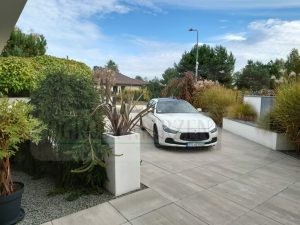 8e0d103b-7566-4dc2-946d-f020070451a2-oG