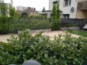 97e71606-51b1-4231-b80a-6198299bf65b-ooW