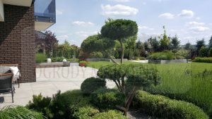 IMG-20170615-WA0001-Medium