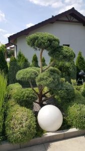 IMG-20170615-WA0002-Medium