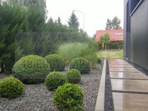 IMG-20170711-WA0013-Medium