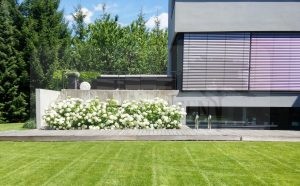 IMG-20170711-WA0018-Medium