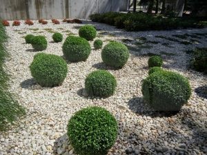 IMG-20170711-WA0019-Medium