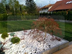 IMG_20170418_173751-Medium