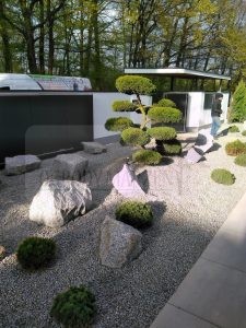 IMG_20170418_173828-Medium