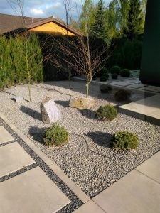 IMG_20170418_173844-Medium