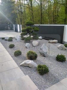 IMG_20170418_173902-Medium