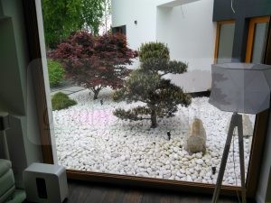 IMG_20170520_155456-Medium