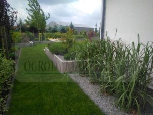 IMG_20170531_091324-Medium