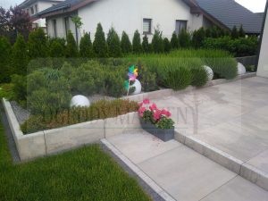 IMG_20170531_092022-Medium