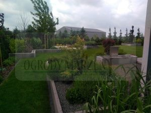 IMG_20170531_092051-Medium