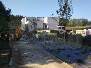 IMG_20170712_092358-Medium