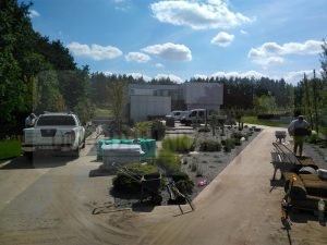 IMG_20170718_144221-Medium