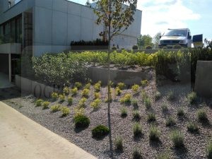 IMG_20170718_145433-Medium