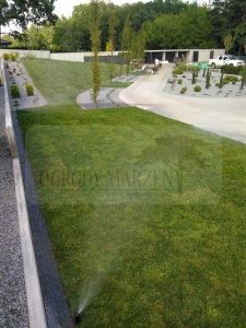 IMG_20170718_145907-Medium