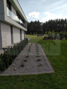 IMG_20170718_145925-Medium