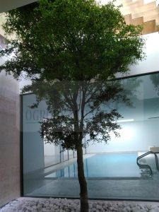 IMG_20170731_121750-Medium