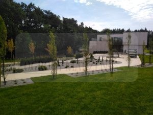 IMG_20170731_122855-Medium