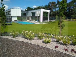 IMG_20170731_134750-Medium