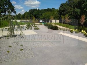 IMG_20170731_135045-Medium