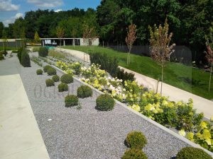 IMG_20170731_135053-Medium